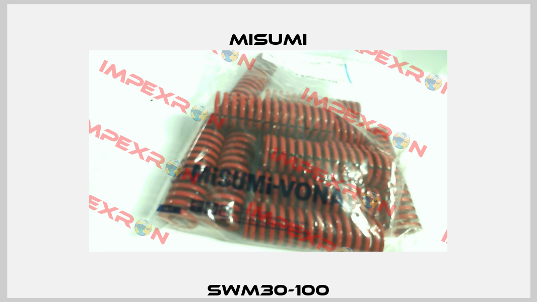 SWM30-100 Misumi