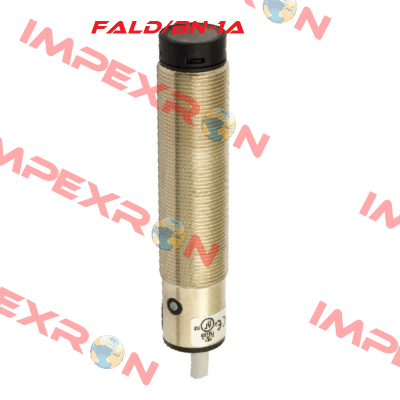 FALD/BN-1A Micro Detectors / Diell (now Datasensing)