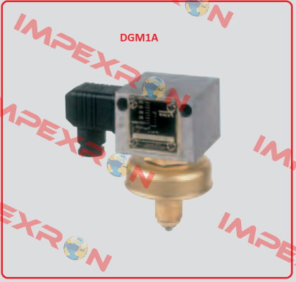 DGM1A FEMA