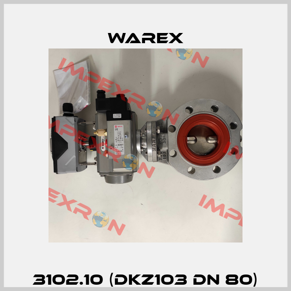 3102.10 (DKZ103 DN 80) Warex