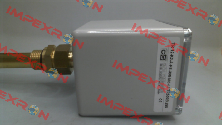 TR 12-K2-A-FE-300-MS-I Goldammer