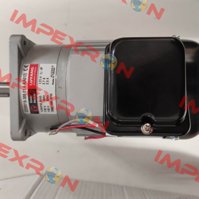 J220V18-300-21.4-A (A012) G3 Luyang Gear Motor