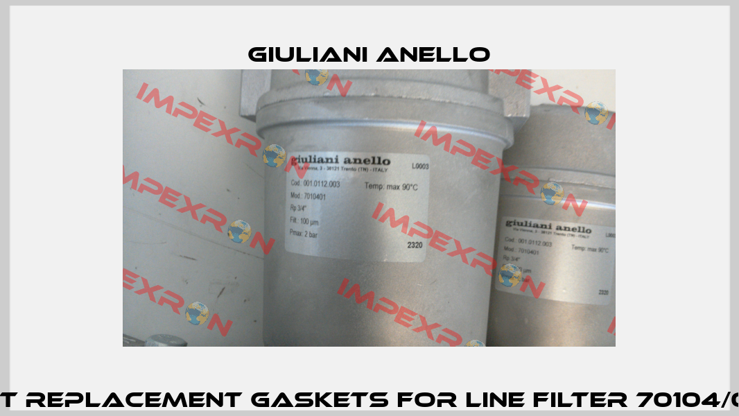 KIT REPLACEMENT GASKETS FOR LINE FILTER 70104/01; Giuliani Anello