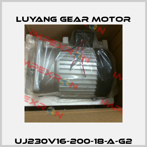 UJ230V16-200-18-A-G2 Luyang Gear Motor